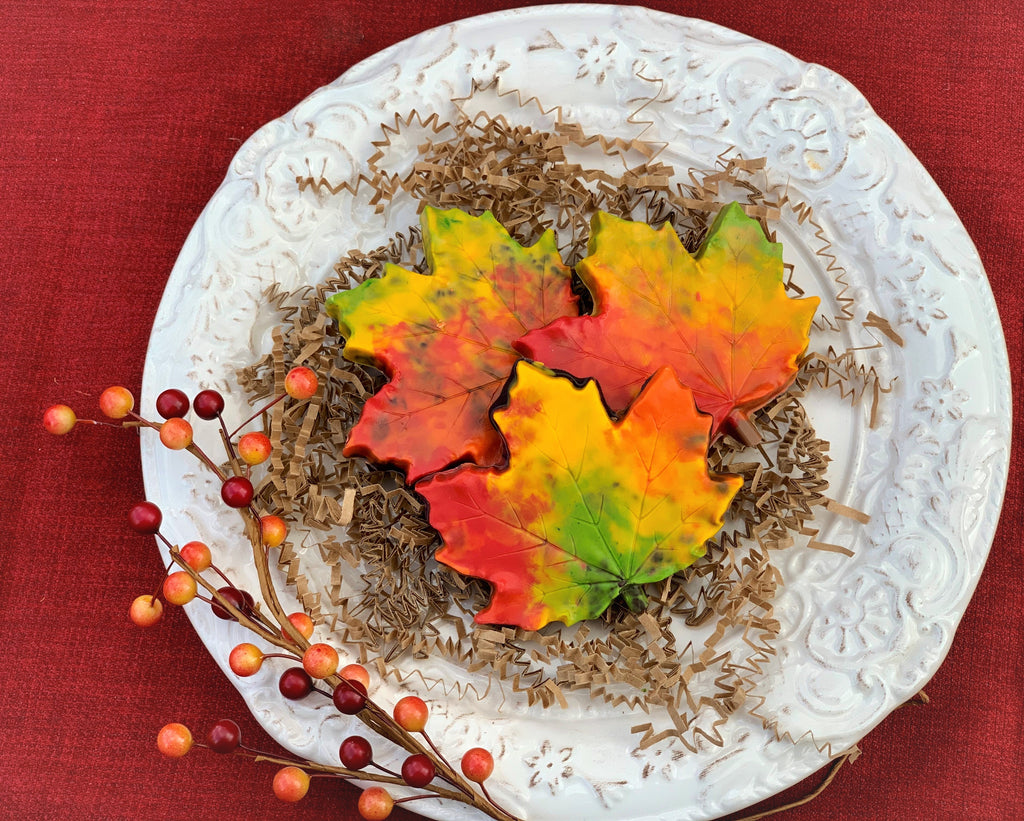 Fall Splendor Maple Leaf