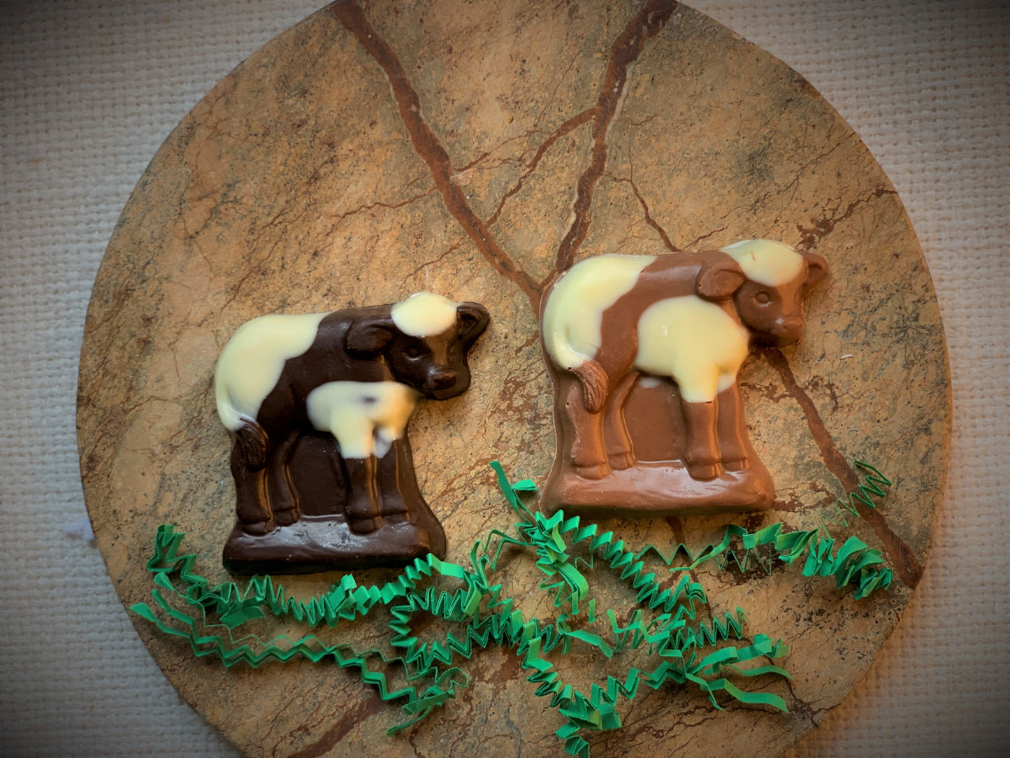 Vermont Chocolate Cow