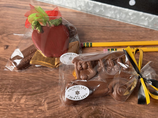 Teacher Kits and School Bus (Milk Chocolate)