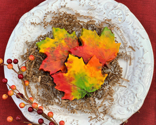 Fall Splendor Maple Leaf